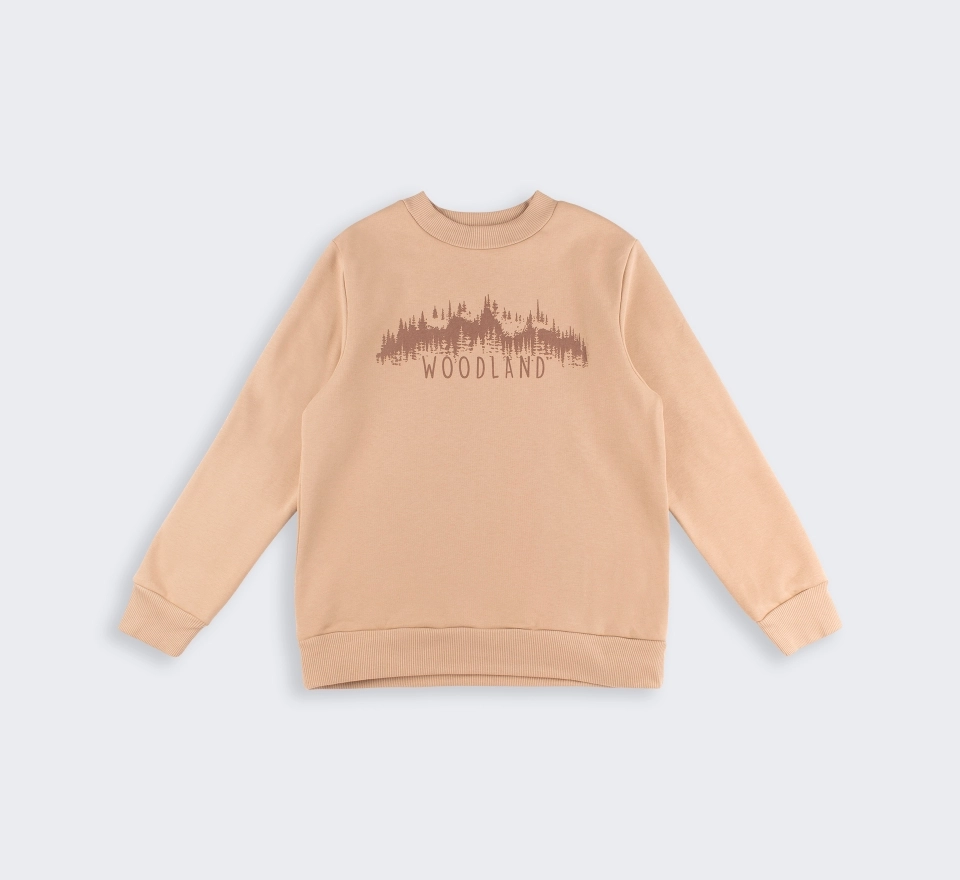 Джемпер | ДЖ354 | Beige 