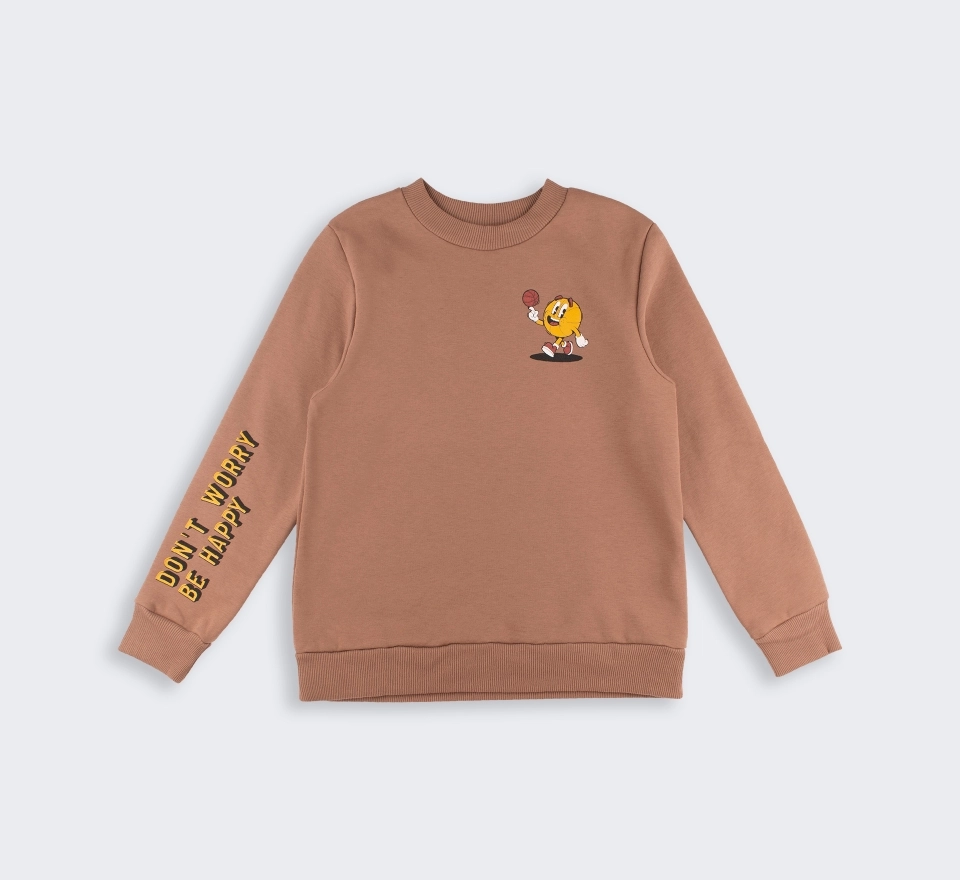 Джемпер | ДЖ354 | Brown 