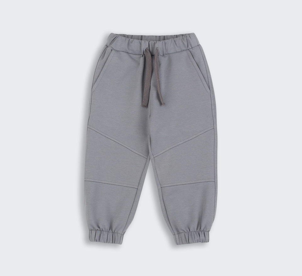 Штани | ШР881 | Grey 