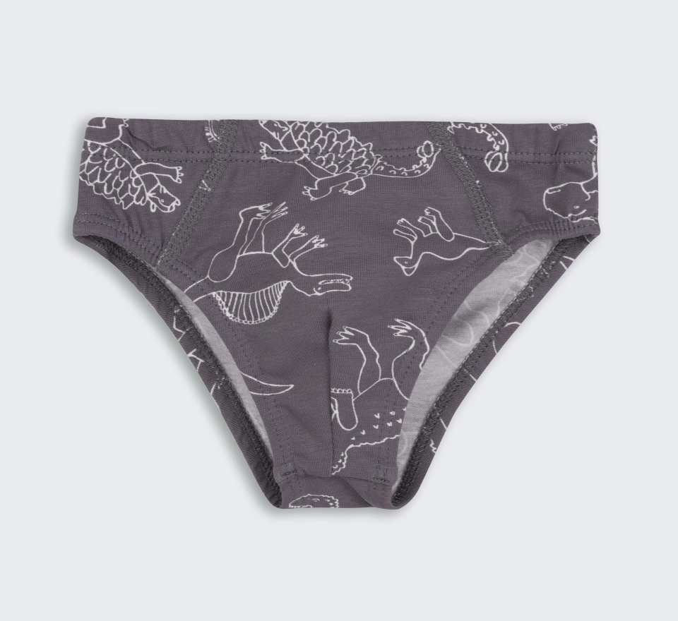 Труси Briefs | ТР45 | Grey 