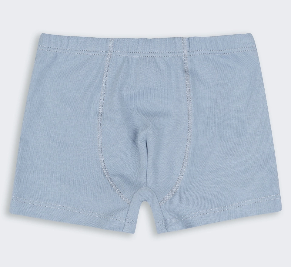 Труси Boxer | ТР46 | Light grey 