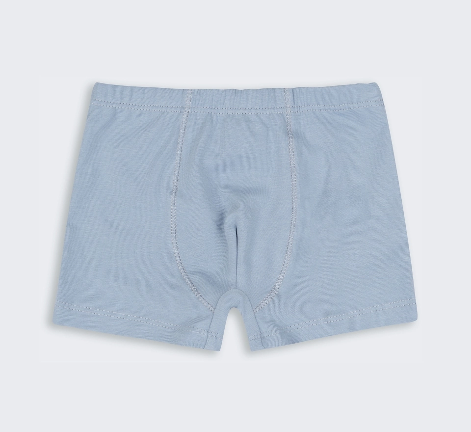 Труси Boxer | ТР46 | Light grey 