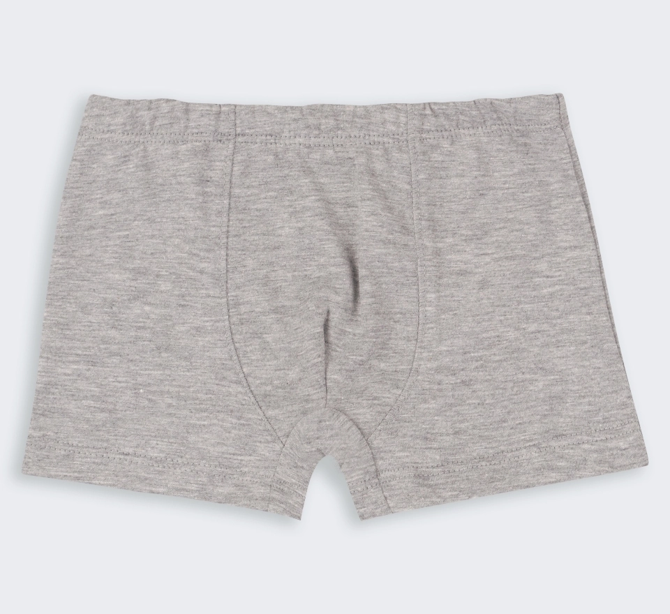 Труси Boxer | ТР48 | Grey 