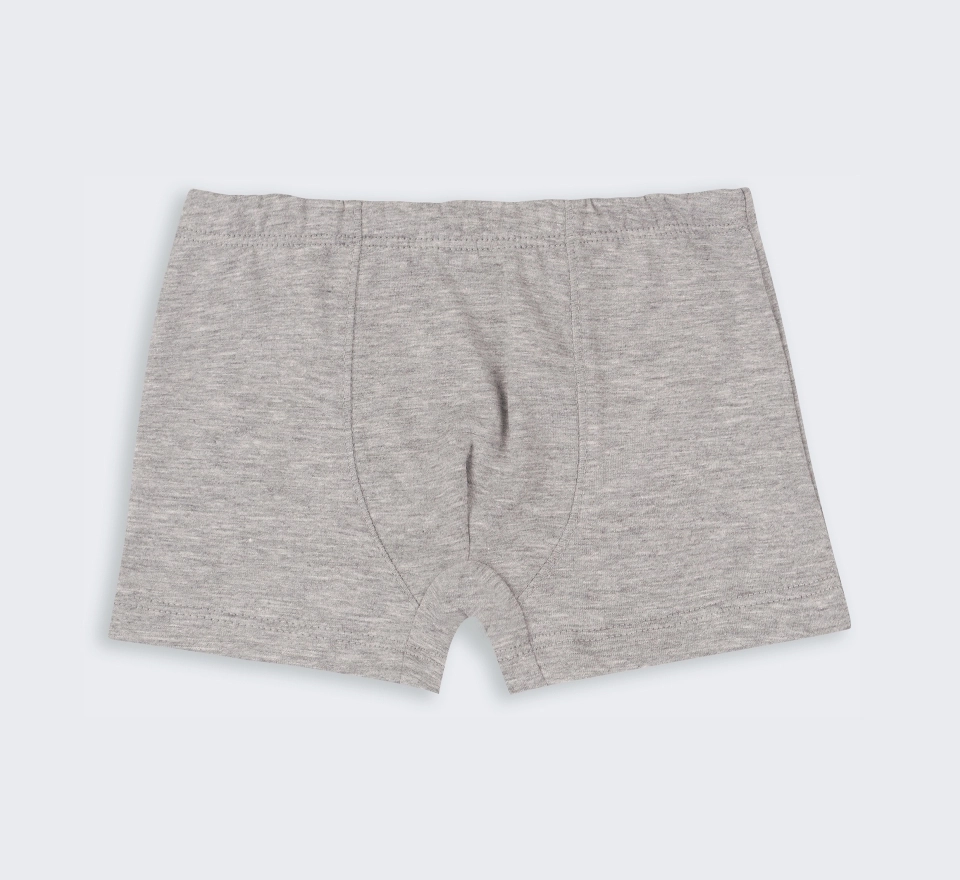 Труси Boxer | ТР48 | Grey 