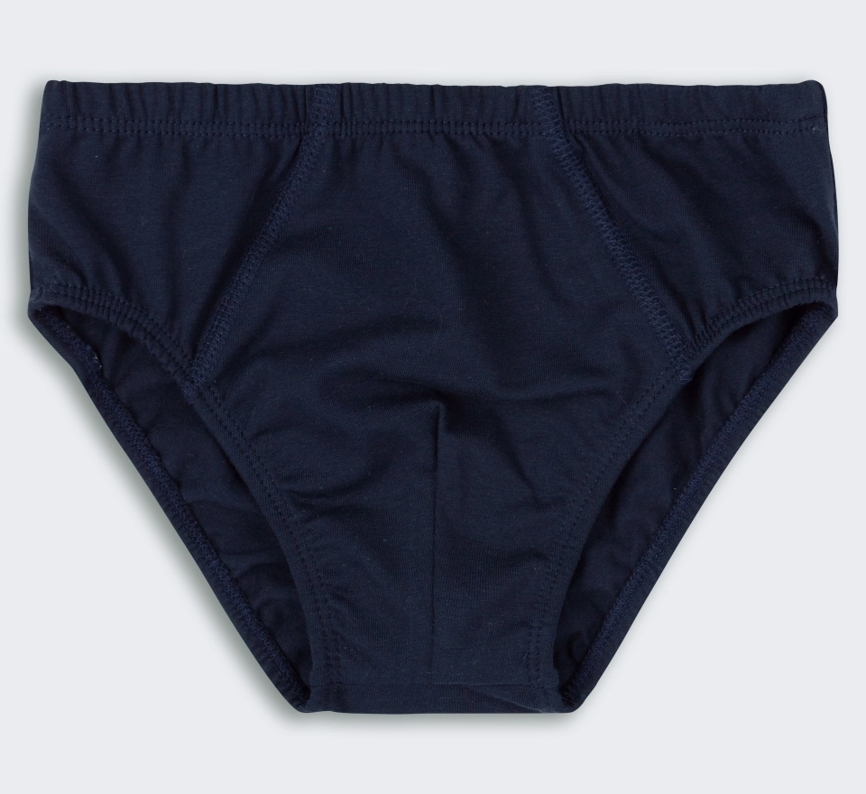 Труси Briefs | ТР5 | Blue 