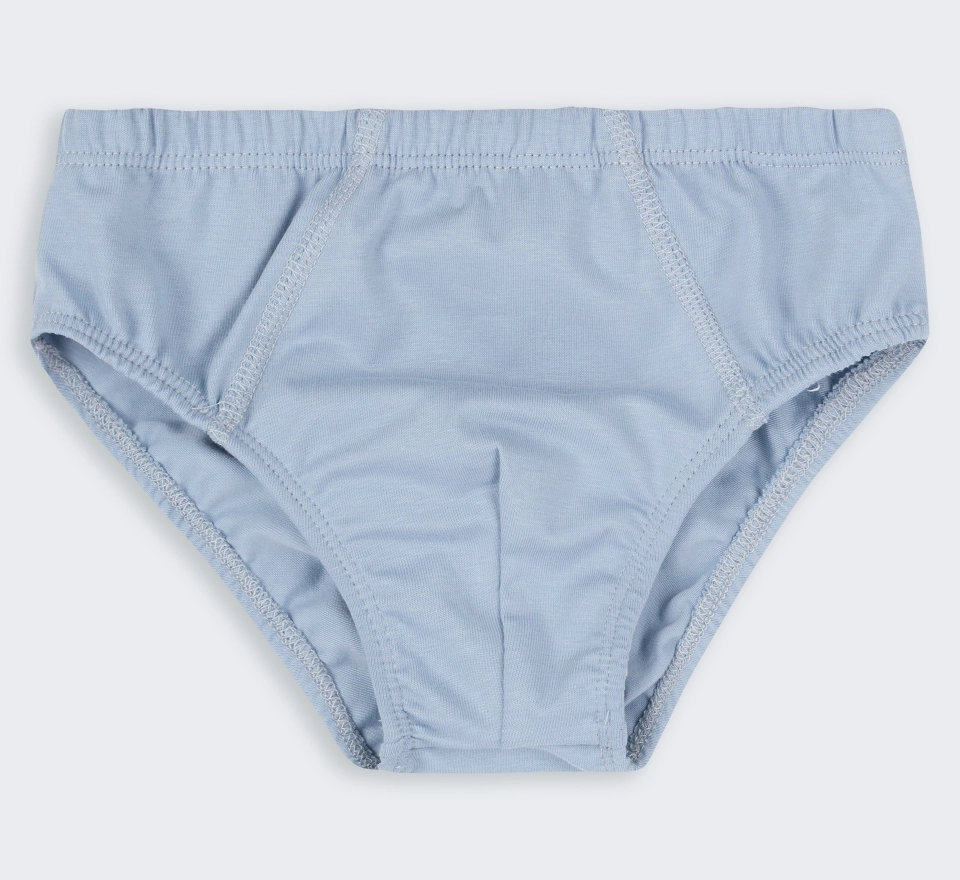 Труси Briefs | ТР5 | Light grey 