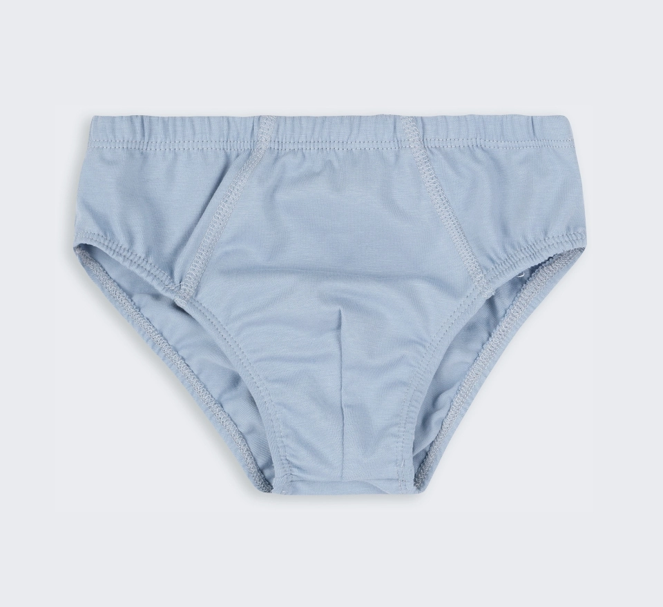 Труси Briefs | ТР5 | Light grey 