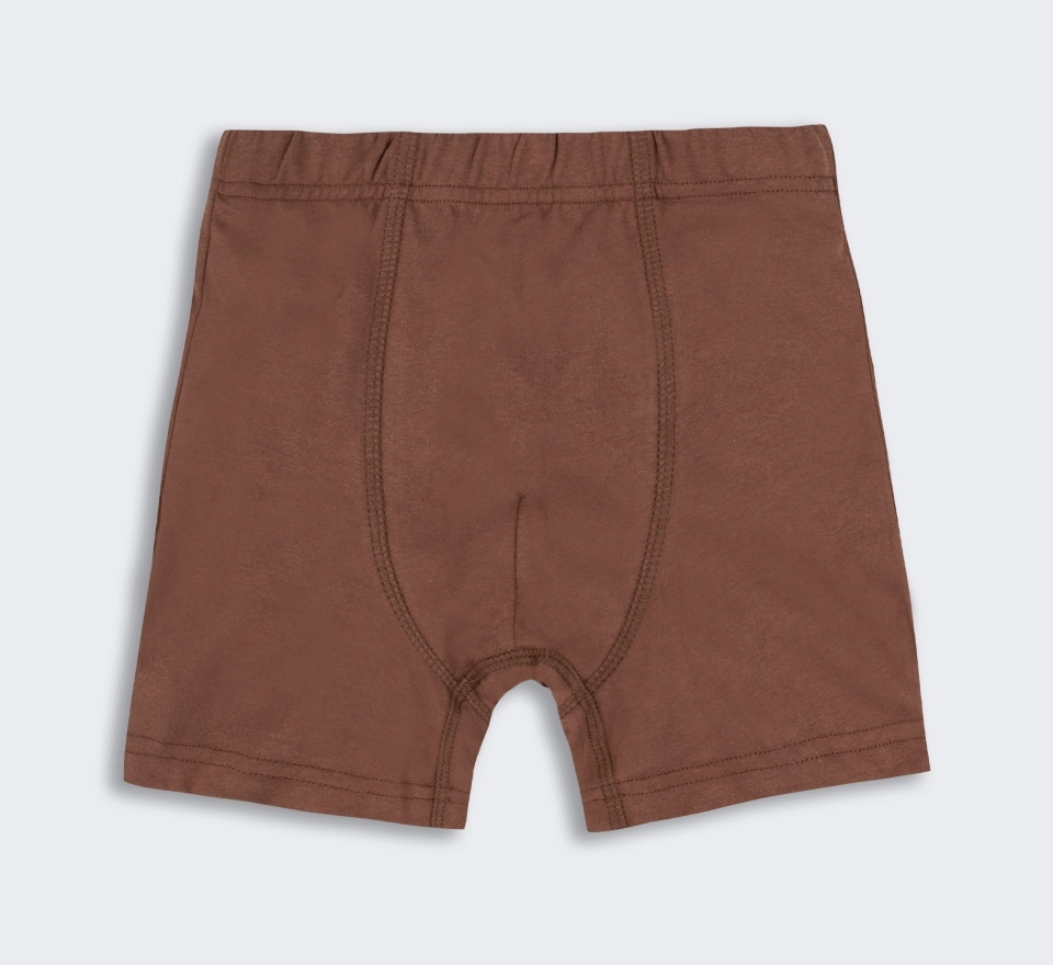Труси Boxer | ТР50 | Brown 